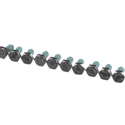 Picture of Rational Hex Screw M6x12 W. Precoat 85 Part# 10.00.698P
