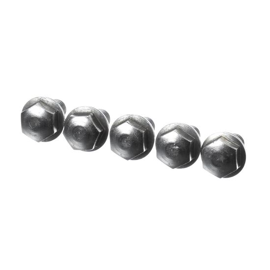 Picture of Rational Ornamental Screw M8x16 Part# 1008.0768P