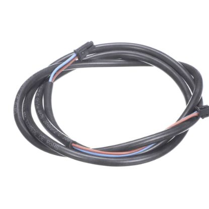 Picture of Rational Cable, Interior Light W42 Handle Side Part# 40.05.292