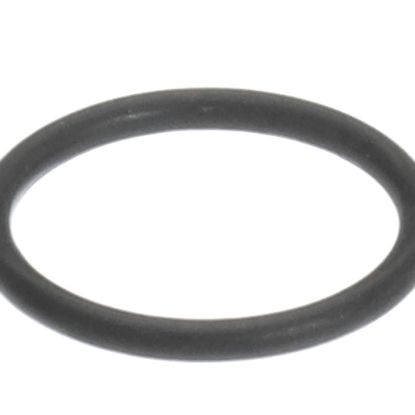 Picture of Rational O-ring For Gas Connection Flange Part# 5012.0572