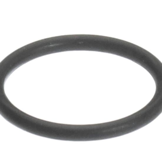 Picture of Rational O-ring For Gas Connection Flange Part# 5012.0572
