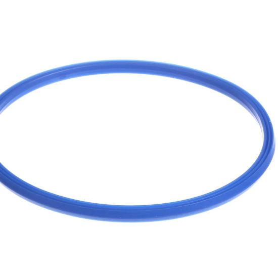 Picture of Rational Gasket F. Inspection Lid Part# 5012.0566P