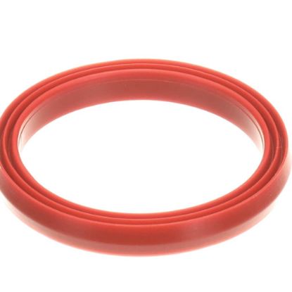 Picture of Rational Gasket F. Inspection Lid Part# 54.01.168P