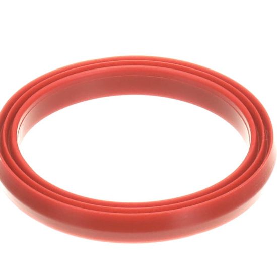Picture of Rational Gasket F. Inspection Lid Part# 54.01.168P