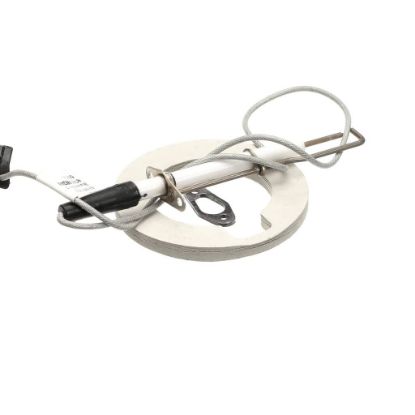 Picture of Rational Ignition Electrode Kit For Steam Generat Part# 87.00.663