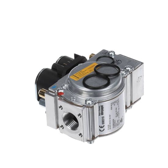 Picture of Rational Gas Valve Sep Steam Part# 87.01.148