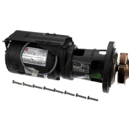 Picture of Raypak Pump Assembly Part# 004844F
