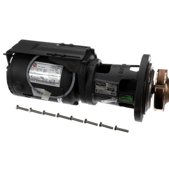 Picture of Raypak Pump Assembly Part# 004844F