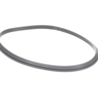 Picture of Robot Coupe Blixer Lid Seal Part# 101163
