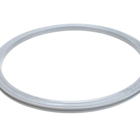 Picture of Robot Coupe R45 Lid Seal Part# 119185