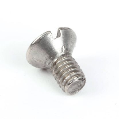Picture of Robot Coupe Tf 90 4X8 Screw Part# 203008