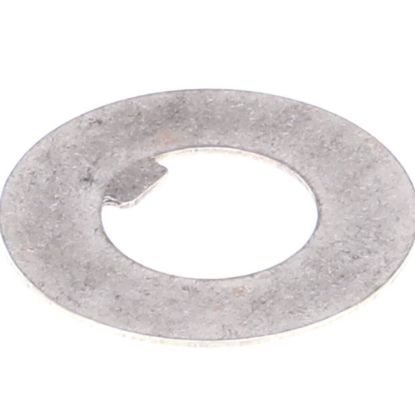 Picture of Robot Coupe Cl50 Rubbing Washer Part# 141020