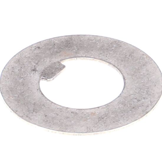 Picture of Robot Coupe Cl50 Rubbing Washer Part# 141020