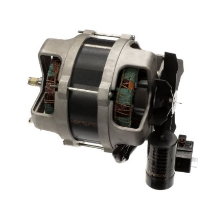 Picture of Robot Coupe Motor Cl55d 120/60/1 Part# 303081S