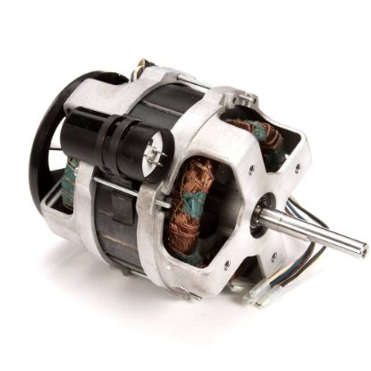 Picture of Robot Coupe R301 Dice Motor 120V Part# 301090