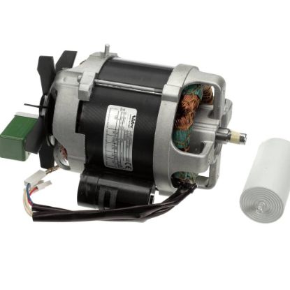 Picture of Robot Coupe Cl52e Motor 120/60/1 Part# 303236S