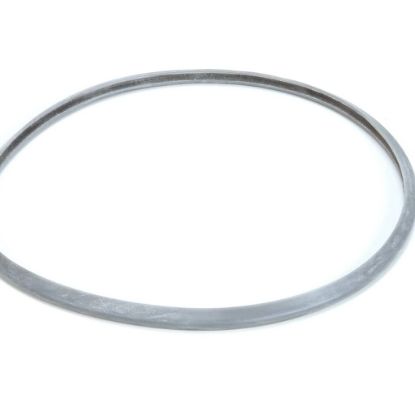 Picture of Robot Coupe Lid Seal Blixer 3D Part# 39756