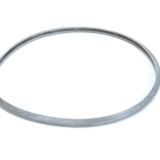 Picture of Robot Coupe Lid Seal Blixer 3D Part# 39756