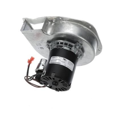 Picture of Rheem Induced Draft Blower W/gasket Part# 70-106080-01