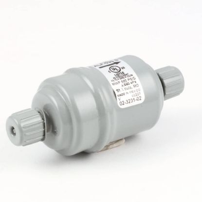 Picture of Scotsman Hot Gas Valve Filter Part# 02-3231-02