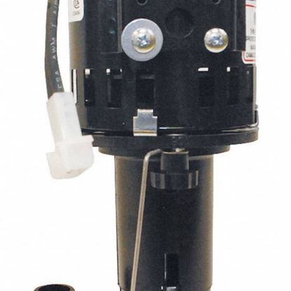 Picture of Scotsman Pump Water Part# 12-2586-23