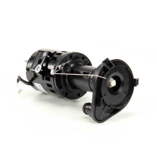 Picture of Scotsman Pump Water Part# 12-2586-24