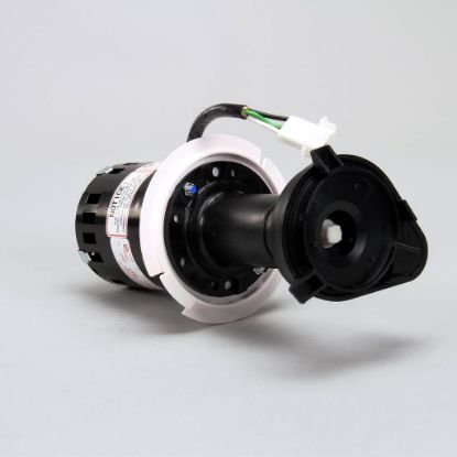 Picture of Scotsman Water Pump Part# 12-2920-22