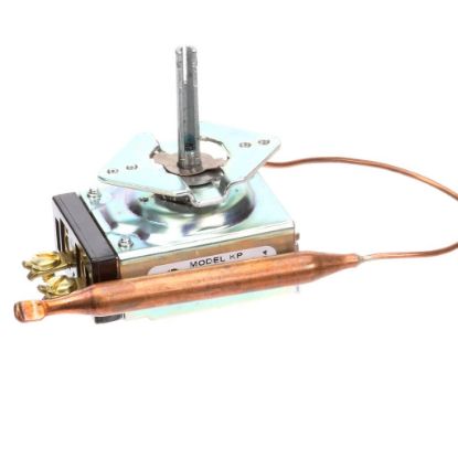 Picture of Server Thermostat 79C Part# 84017