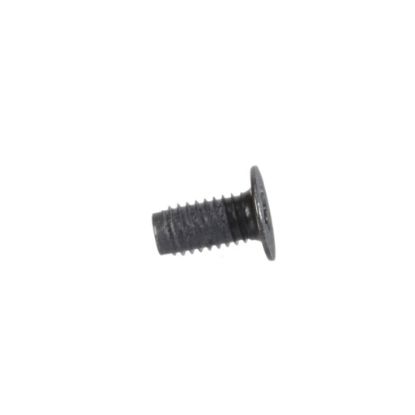 Picture of Samsung Screw-tapping Part# 6002-000548