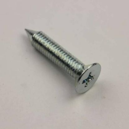 Picture of Samsung Screw-special Part# 6009-001475