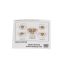 Picture of Samsung Assembly Nozzle Kit Part# DG96-00502B