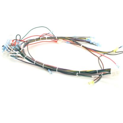 Picture of Southbend Range Harness,cntl Wiring,115v/sc/g Part# 1179591