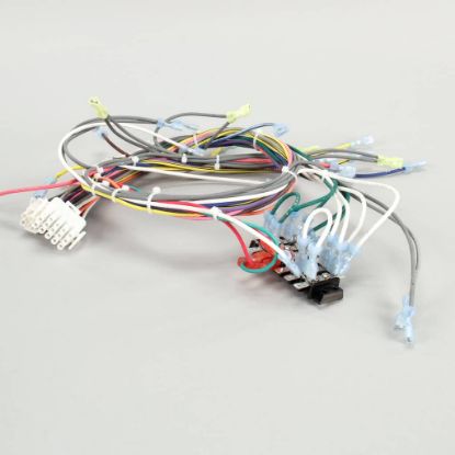 Picture of Southbend Range Harness,cch,120v Gas Part# 1180482