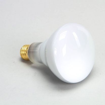 Picture of Star Lamp-75w 120V Reflector Flood Part# 2S-Y4584
