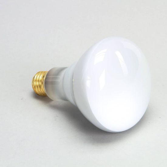 Picture of Star Lamp-75w 120V Reflector Flood Part# 2S-Y4584