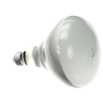 Picture of Star Lamp 150W 230Ce/240v Part# 2S-Y8712
