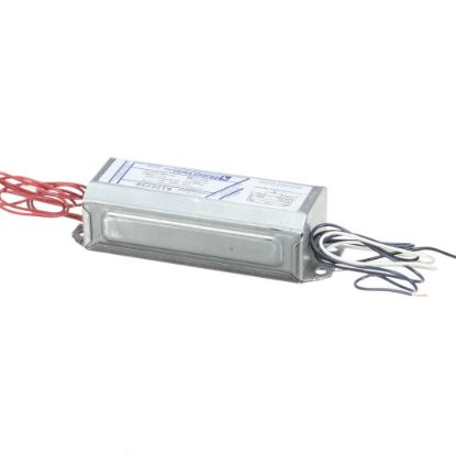 Picture of Silver King Ballast 230V Part# 99298