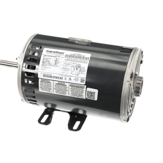 Picture of Trane Motor; 1 Hp, 208-230/460/60/3, Part# MOT02913