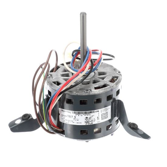 Picture of Trane Motor; 1/4 Hp, 115/60/1, 3 Spe Part# MOT09165