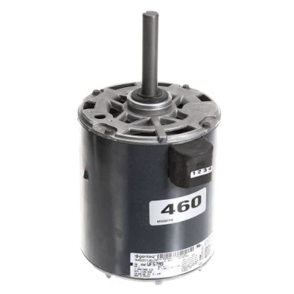 Picture of Trane Motor; Ac; 1 Hp, 460 60 3,1125 Part# MOT17979
