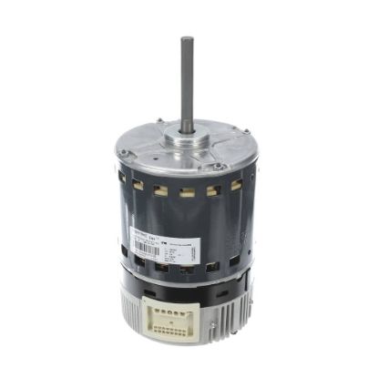 Picture of Trane Motor; Tem6c48/60 Motor Asm Part# MOT20639