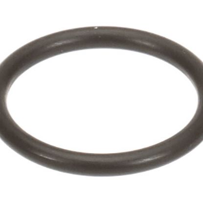 Picture of Trane Ring-o; .924 Id X .116 Rd Part# RNG01764