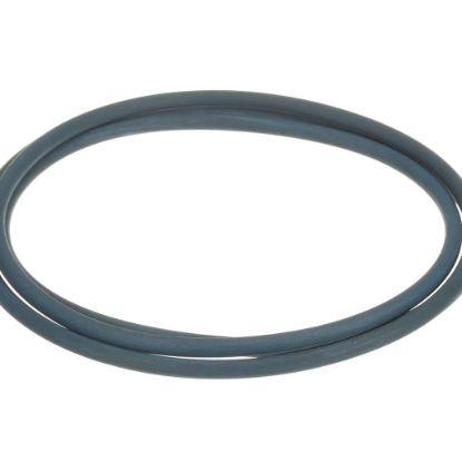 Picture of Trane Ring; O, 19.955 Id X 0.275 Rd, For Use With Water Part# RNG02065