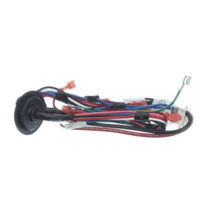 Picture of Trane Wire; Harness Asm-ctm Part# WIR09455