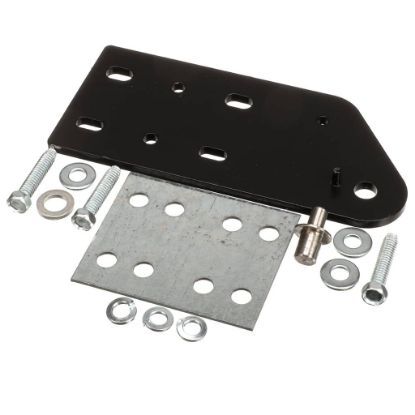 Picture of TRUE Hinge Assembly Top Rh Flm Part# 215330