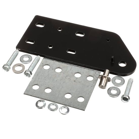 Picture of TRUE Hinge Assembly Top Rh Flm Part# 215330