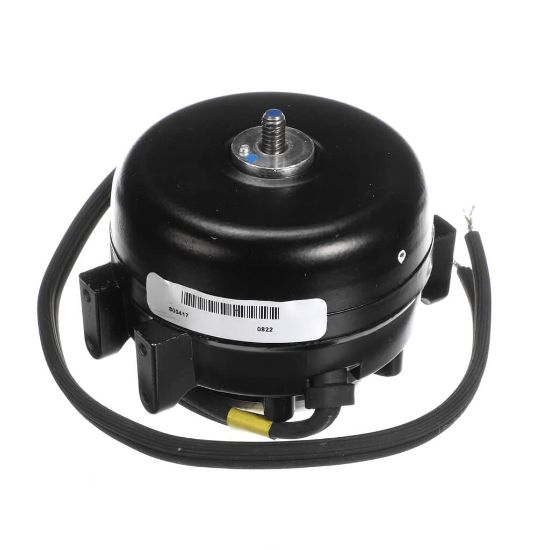 Picture of TRUE Motor, Sp-b203hma1 115V 60/50 Part# 800417