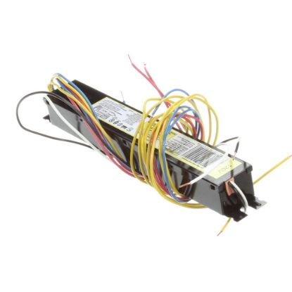 Picture of TRUE Ballast, Relb2s40n Was Rel2s40sc Or 8G1024wf Part# 800501