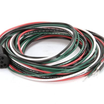Picture of TRUE Power Cord, Tm-r63-01 W/90 Lead Idl Door Receptac Part# 801763