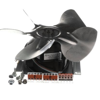 Picture of TRUE Fan Motor Kit 225824 Part# 813042
